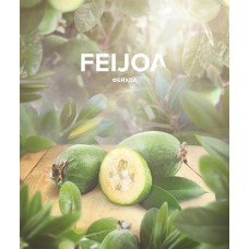 Табак 4.20 Chai Line Feijoa 125 грамм (фейхоа)