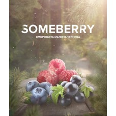 Табак 4.20 Chai Line Some Berry 125 грамм (смородина малина черника)