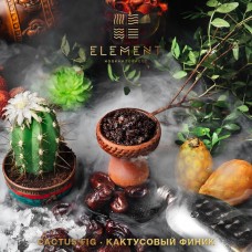 Табак Element Earth Cactus - Fig 100 грамм (кактусовый финик)