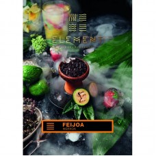 Табак Element Earth Feijoa 100 грамм (фейхоа)