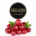 Табак Milano Cranberry M 47 500 грамм (клюква) Табак Milano Cranberry M 47 500 грамм (клюква)
