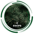 Безникотиновая смесь Swipe Easy Needles 250 грам (хвоя)	