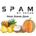Табак Spam Кокос Ананас Диня 100 грам